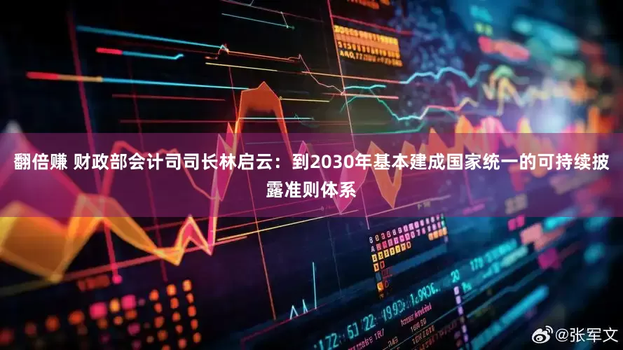 翻倍赚 财政部会计司司长林启云：到2030年基本建成国家统一的可持续披露准则体系