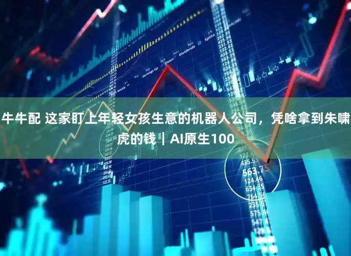 牛牛配 这家盯上年轻女孩生意的机器人公司，凭啥拿到朱啸虎的钱｜AI原生100