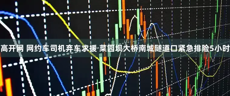 高开网 网约车司机弃车求援 菜园坝大桥南城隧道口紧急排险5小时