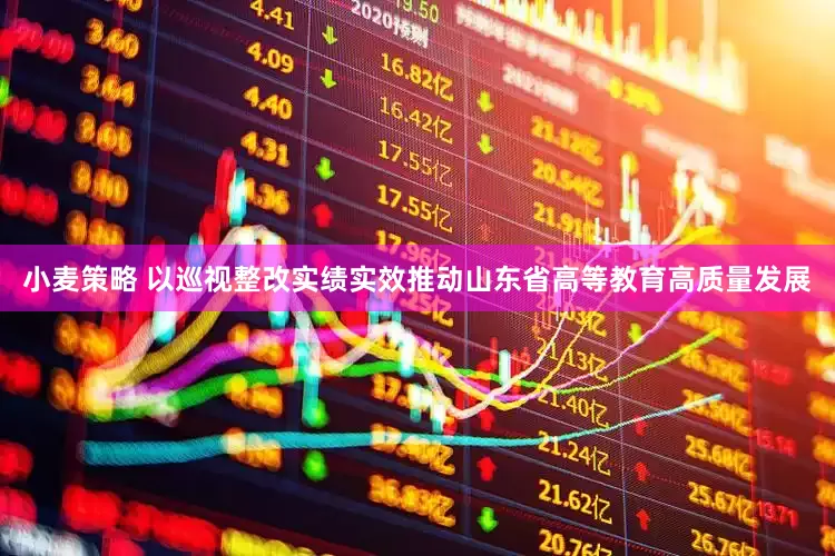 小麦策略 以巡视整改实绩实效推动山东省高等教育高质量发展