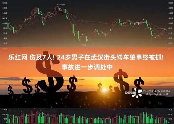 乐红网 伤及7人! 24岁男子在武汉街头驾车肇事终被抓! 事故进一步调处中