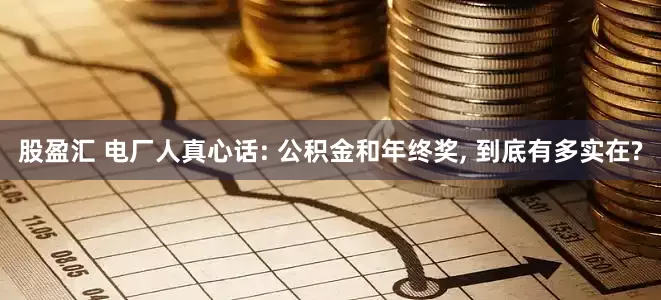 股盈汇 电厂人真心话: 公积金和年终奖, 到底有多实在?